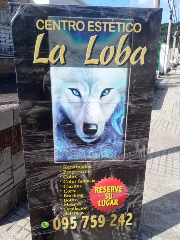 Frente de Peluquería y Lavadero la Loba