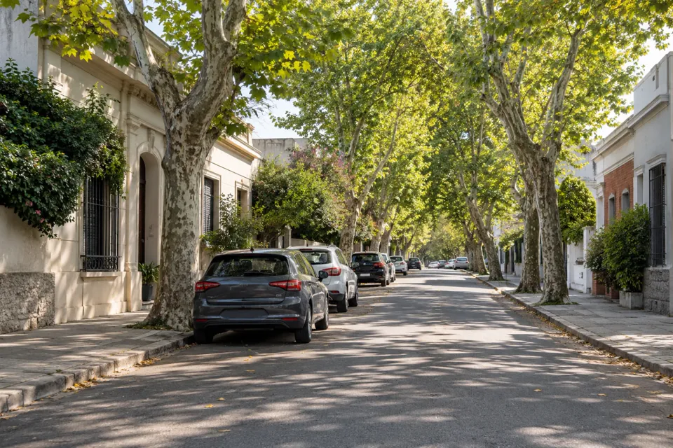 Calle arbolada de barrio con autos estacionados junto al cordón